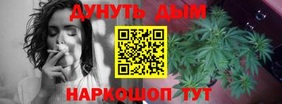 сатива Будённовск