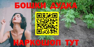 сатива Будённовск