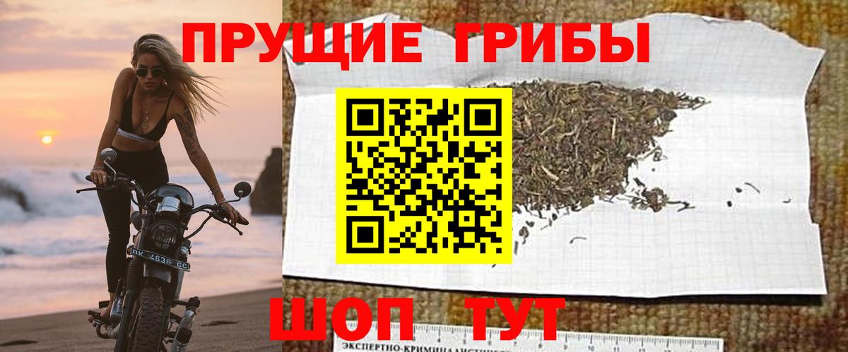 где купить наркоту  Вход с VPN  Симферополь  Галлюциногенные грибы Cubensis 